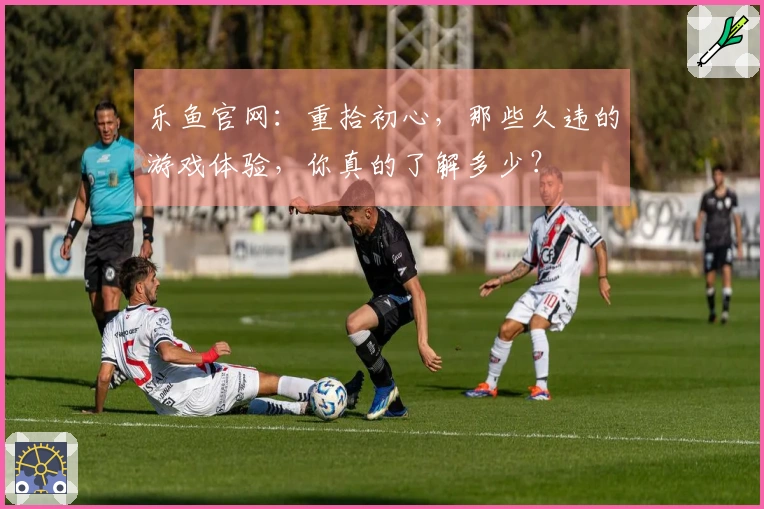 乐鱼官网：重拾初心，那些久违的游戏体验，你真的了解多少？