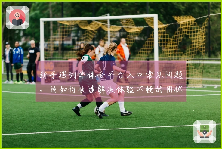 新手遇到华体会平台入口常见问题，该如何快速解决体验不畅的困扰？
